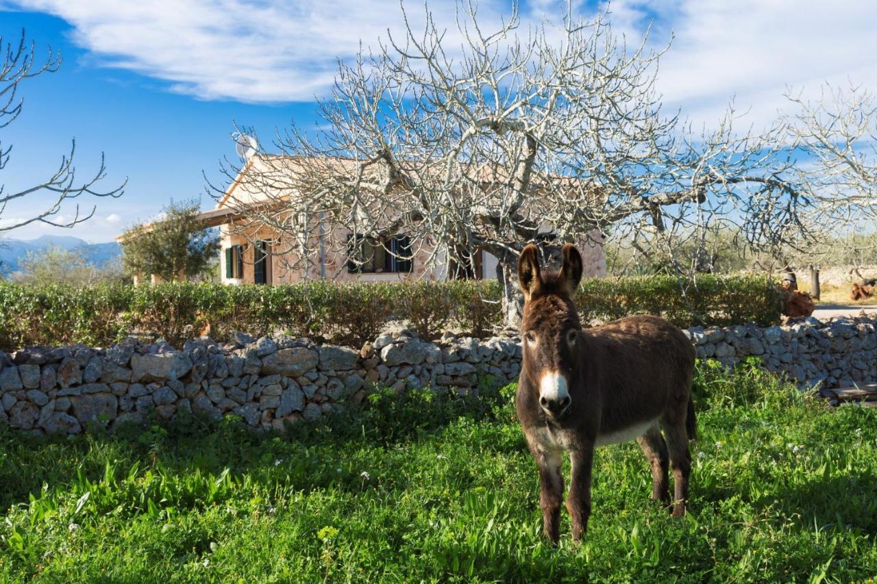 155 Finca Son Rossignol By Mallorca Charme Sineu  Exterior foto